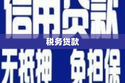 新埤税务贷款