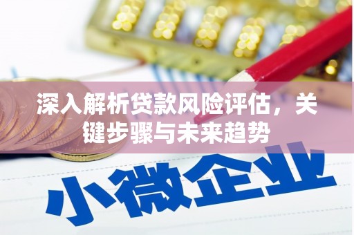 新埤深入解析贷款风险评估，关键步骤与未来趋势