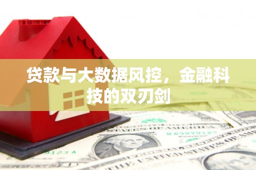 新埤贷款与大数据风控，金融科技的双刃剑