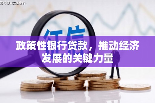 新埤政策性银行贷款，推动经济发展的关键力量