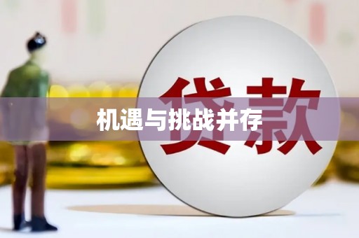 新埤机遇与挑战并存