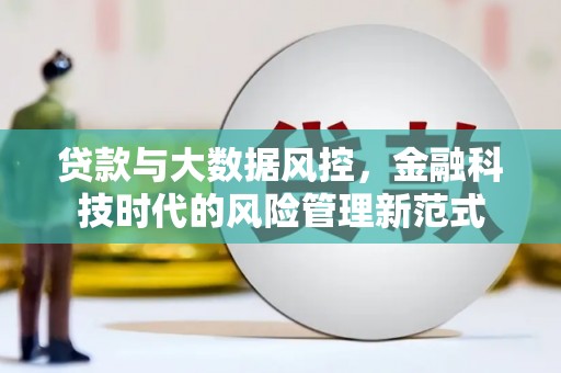 新埤贷款与大数据风控，金融科技时代的风险管理新范式