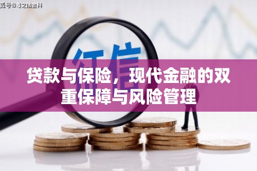 新埤贷款与保险，现代金融的双重保障与风险管理