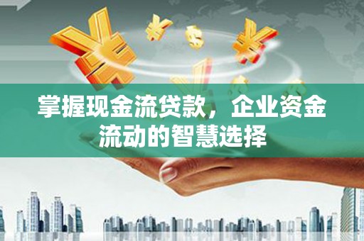 新埤掌握现金流贷款，企业资金流动的智慧选择