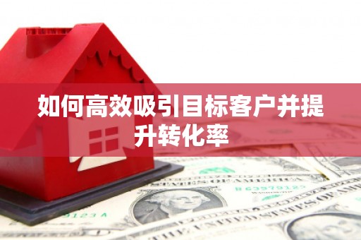 新埤如何高效吸引目标客户并提升转化率