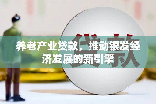新埤养老产业贷款，推动银发经济发展的新引擎