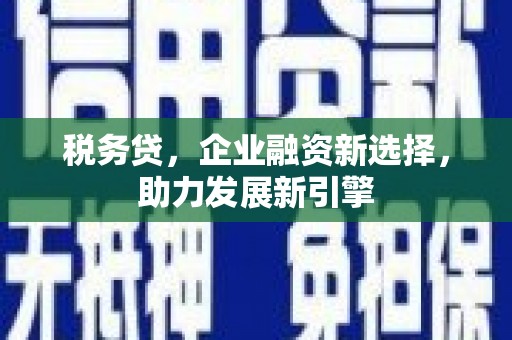新埤税务贷，企业融资新选择，助力发展新引擎