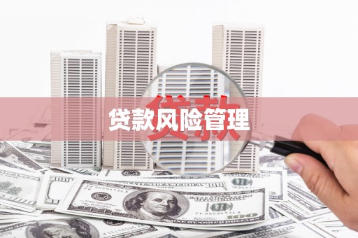 新埤贷款风险管理