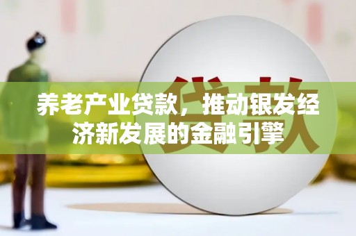 新埤养老产业贷款，推动银发经济新发展的金融引擎
