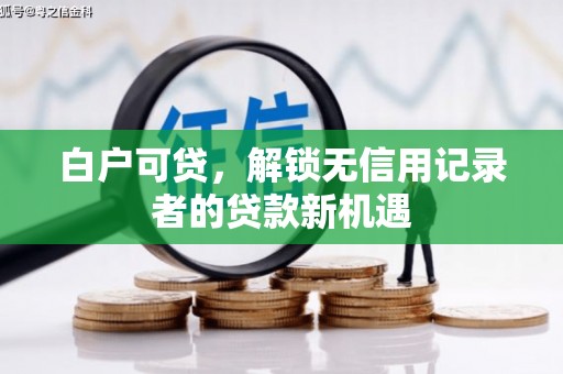 新埤白户可贷，解锁无信用记录者的贷款新机遇