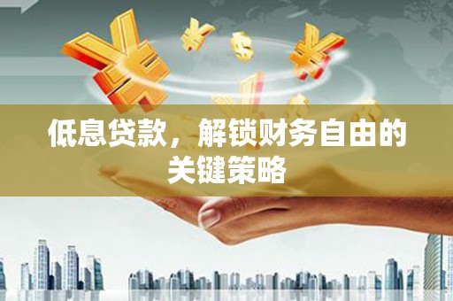 新埤低息贷款，解锁财务自由的关键策略