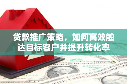 新埤贷款推广策略，如何高效触达目标客户并提升转化率