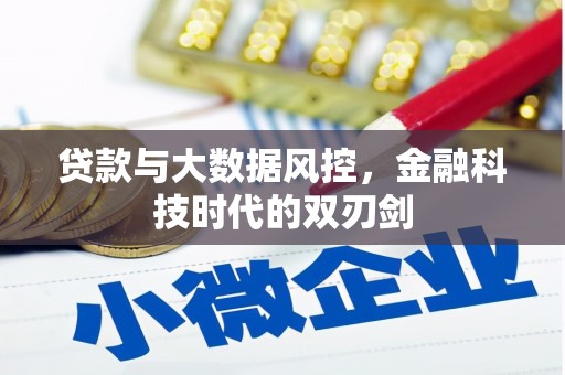 新埤贷款与大数据风控，金融科技时代的双刃剑
