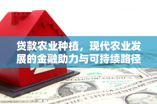 新埤贷款农业种植，现代农业发展的金融助力与可持续路径