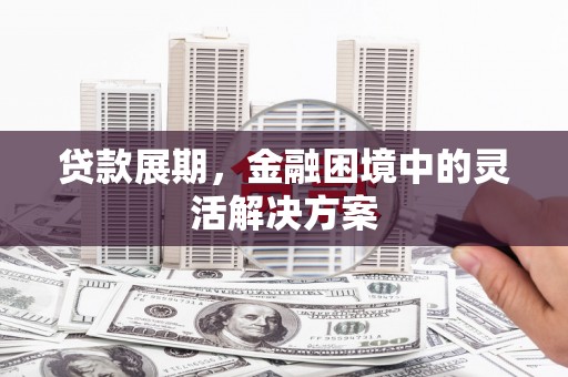 新埤贷款展期，金融困境中的灵活解决方案