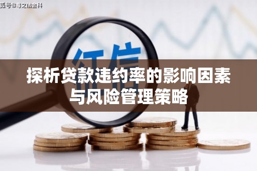 新埤探析贷款违约率的影响因素与风险管理策略