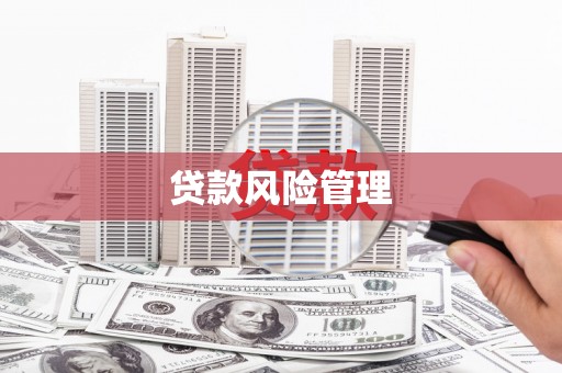 新埤贷款风险管理