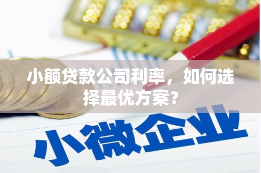 新埤小额贷款公司利率，如何选择最优方案？