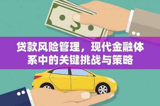 新埤贷款风险管理，现代金融体系中的关键挑战与策略