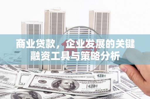 新埤商业贷款，企业发展的关键融资工具与策略分析