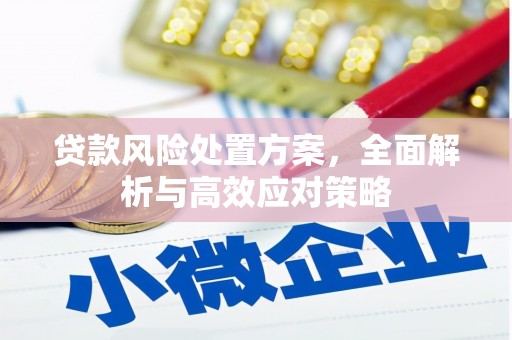 新埤贷款风险处置方案，全面解析与高效应对策略