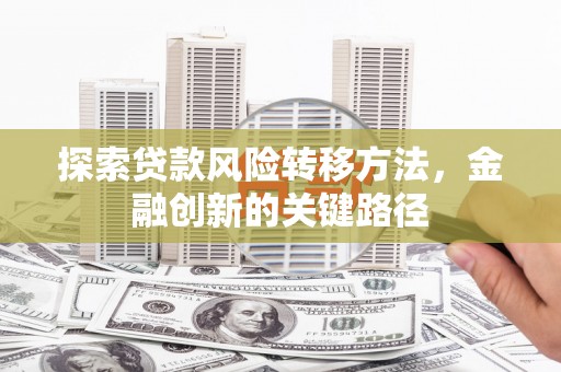 新埤探索贷款风险转移方法，金融创新的关键路径