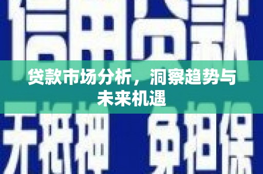 新埤贷款市场分析，洞察趋势与未来机遇