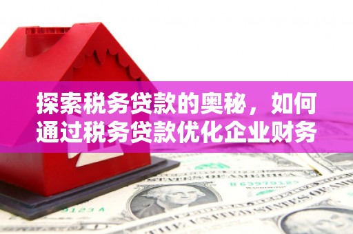 新埤探索税务贷款的奥秘，如何通过税务贷款优化企业财务