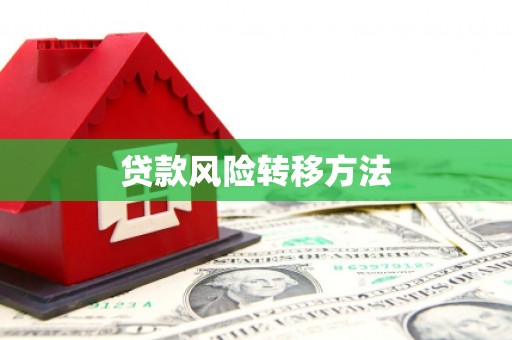 新埤贷款风险转移方法