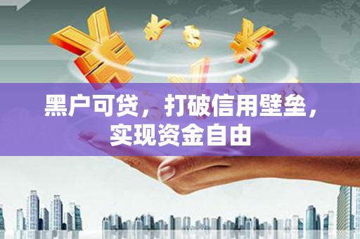 新埤黑户可贷，打破信用壁垒，实现资金自由