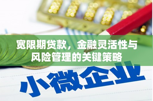 新埤宽限期贷款，金融灵活性与风险管理的关键策略
