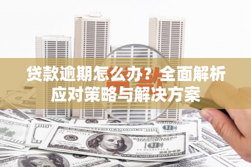 新埤贷款逾期怎么办？全面解析应对策略与解决方案