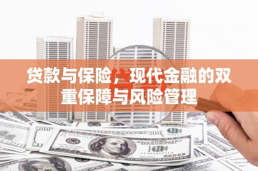 新埤贷款与保险，现代金融的双重保障与风险管理