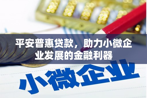 新埤平安普惠贷款，助力小微企业发展的金融利器