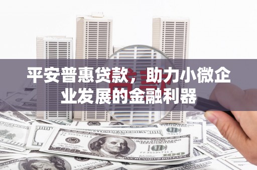新埤平安普惠贷款，助力小微企业发展的金融利器
