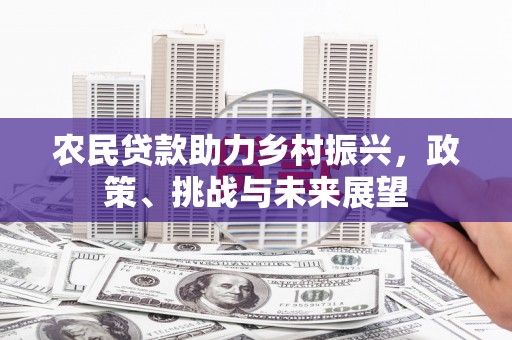 新埤农民贷款助力乡村振兴，政策、挑战与未来展望