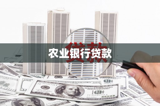 新埤农业银行贷款