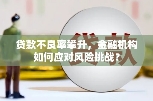 新埤贷款不良率攀升，金融机构如何应对风险挑战？