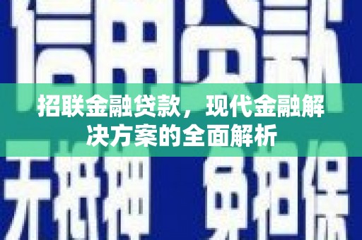 新埤招联金融贷款，现代金融解决方案的全面解析