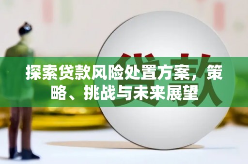 新埤探索贷款风险处置方案，策略、挑战与未来展望