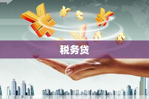 新埤税务贷