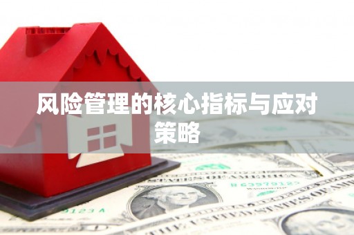 新埤风险管理的核心指标与应对策略