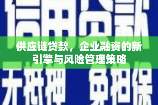 新埤供应链贷款，企业融资的新引擎与风险管理策略
