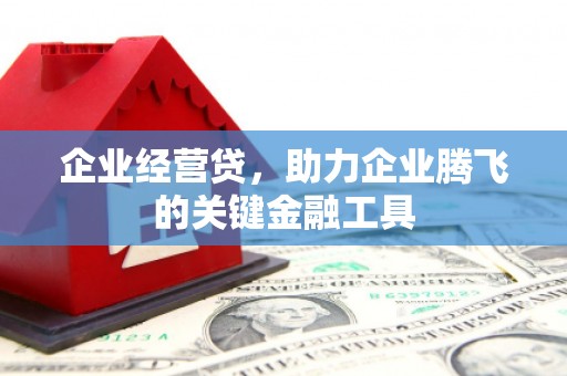 新埤企业经营贷，助力企业腾飞的关键金融工具