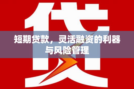 新埤短期贷款，灵活融资的利器与风险管理