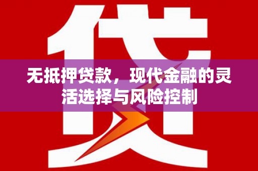 新埤无抵押贷款，现代金融的灵活选择与风险控制