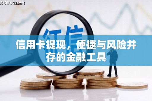新埤信用卡提现，便捷与风险并存的金融工具