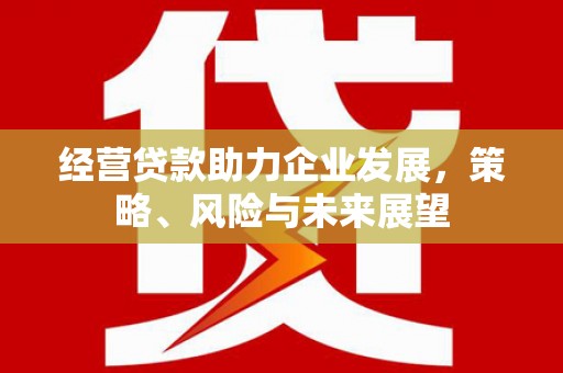 新埤经营贷款助力企业发展，策略、风险与未来展望