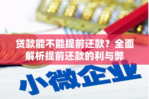 新埤贷款能不能提前还款？全面解析提前还款的利与弊