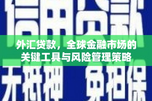 新埤外汇贷款，全球金融市场的关键工具与风险管理策略